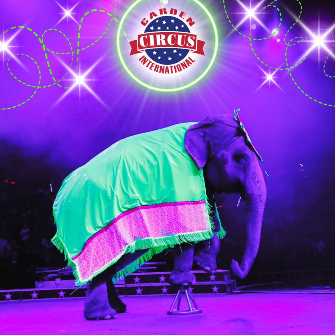 Carden Shrine Glow Circus Spectacular